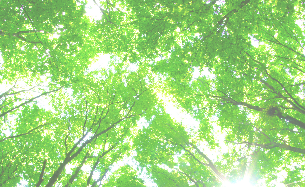 カウンセリングの様子