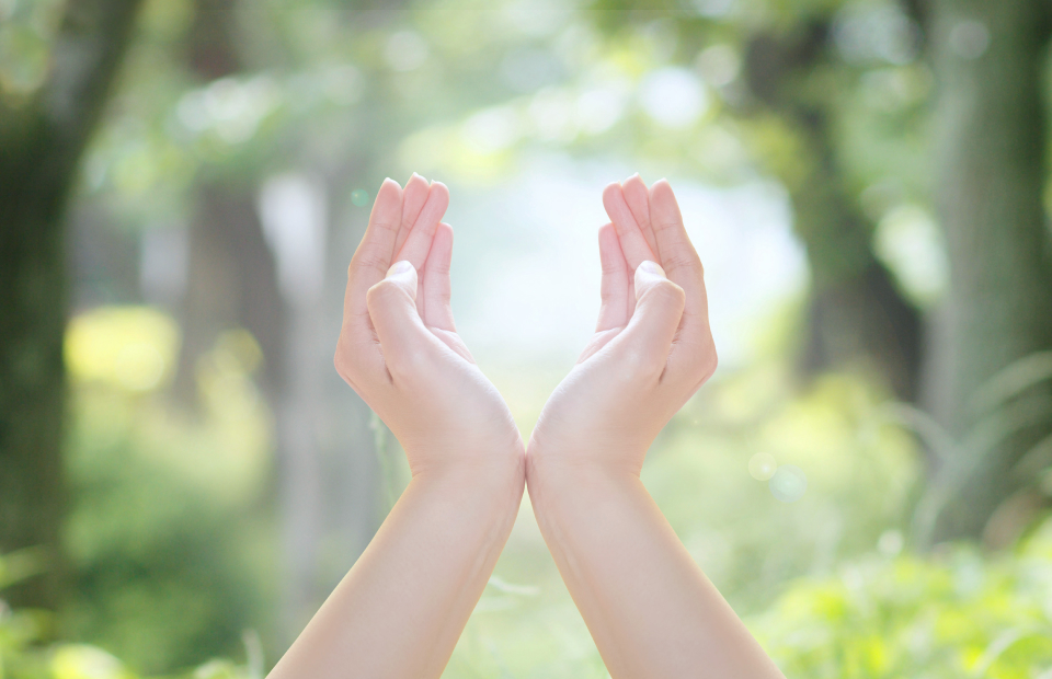 森林の背景に、祈るような仕草で両手を合わせるイメージ写真