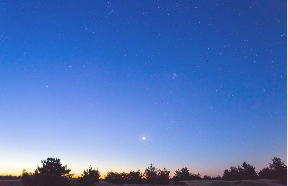 カウンセリングの様子